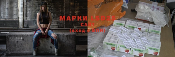индика Осташков