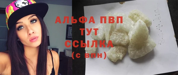индика Осташков