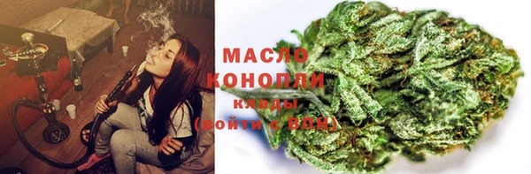 индика Осташков