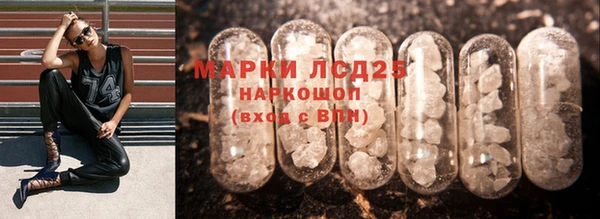 индика Осташков