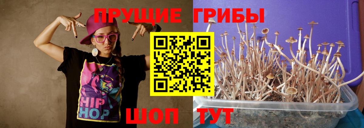 Псилоцибиновые грибы прущие грибы  Галлюциногенные грибы мицелий  Приморско-Ахтарск  Вход с VPN 